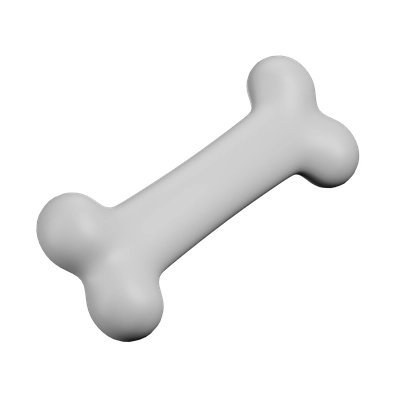 Bone Icon Preview