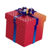 Gift Icon