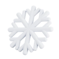 Snowflake Icon