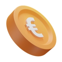 Euro Icon