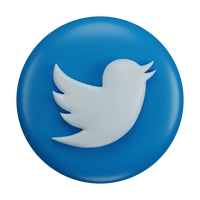 Twitter Icon